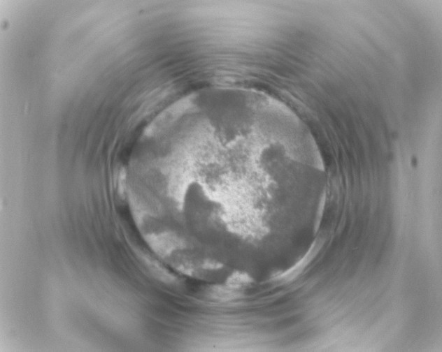 X0000088230094200706051359