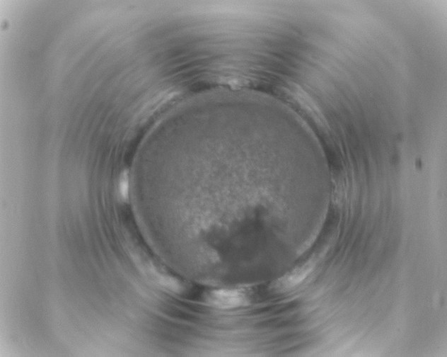 X0000088230095200706051359