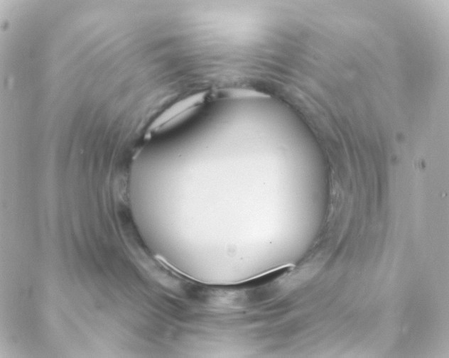 X0000088230096200706051359