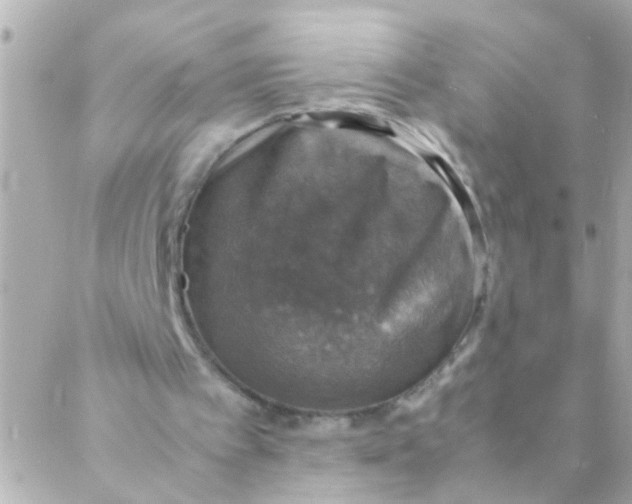 X0000088230097200706051358