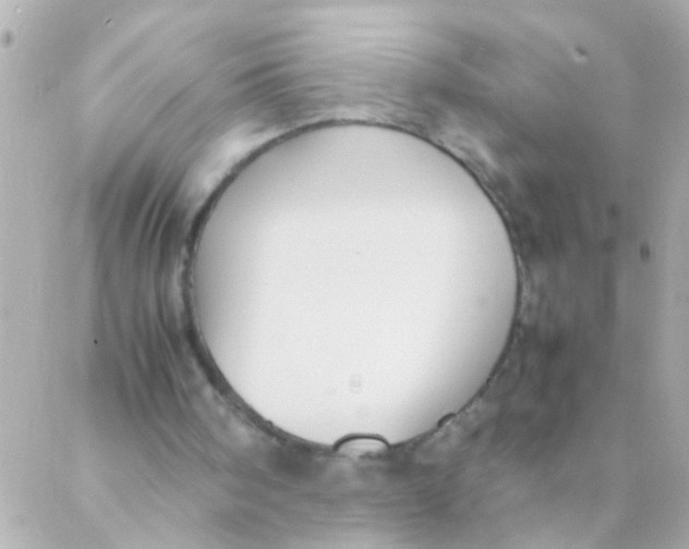 X0000088230098200706051358