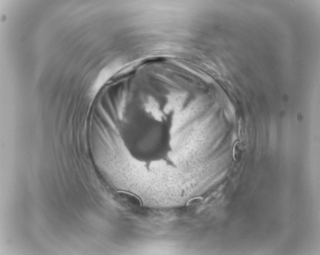 X0000088230099200706051358