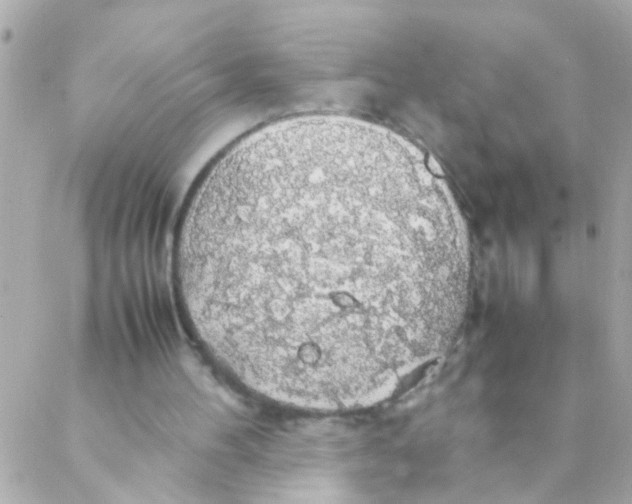 X0000088230100200706051358