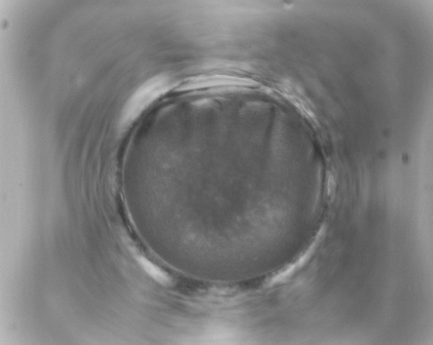 X0000088230101200706051358