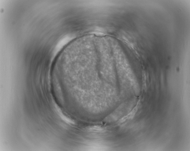 X0000088230102200706051358