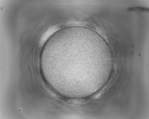 X0000088230103200706051358