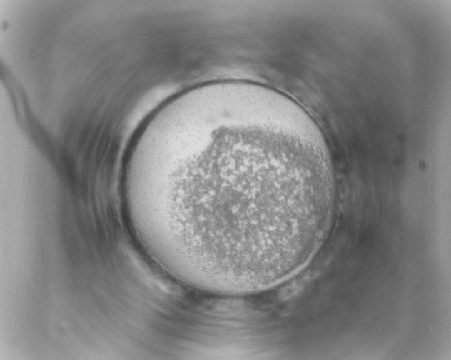 X0000088230104200706051358