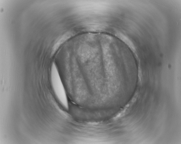 X0000088230105200706051358