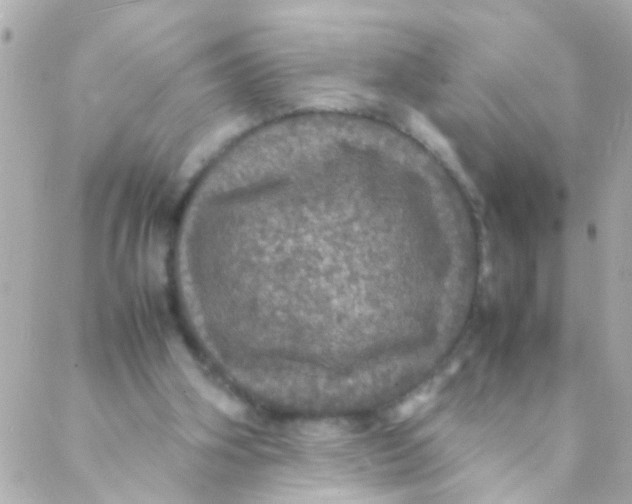 X0000088230106200706051358