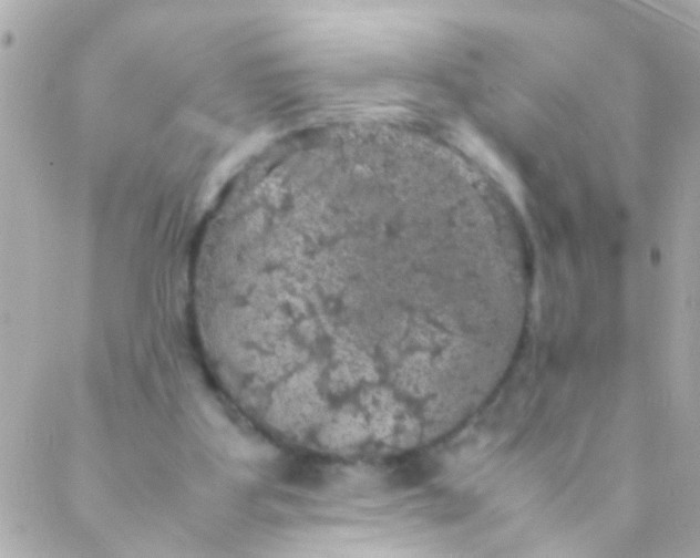 X0000088230107200706051358