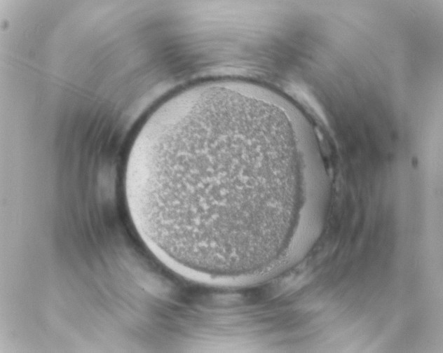 X0000088230108200706051358