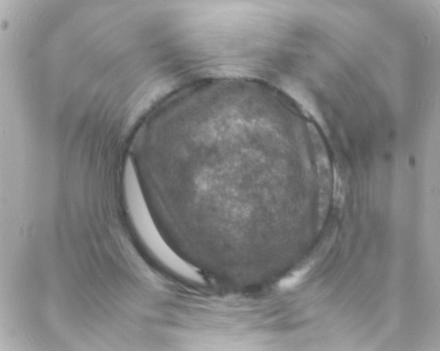 X0000088230109200706051358