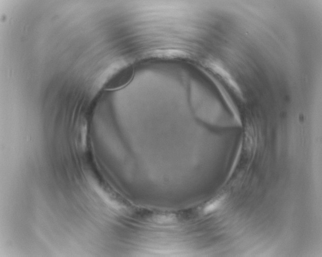 X0000088230110200706051358