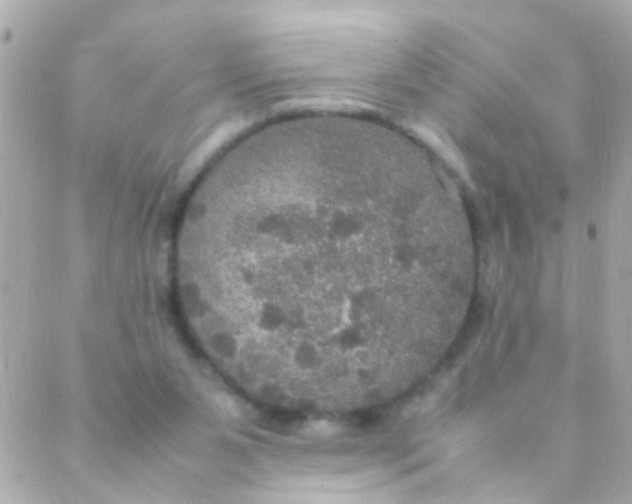 X0000088230111200706051358