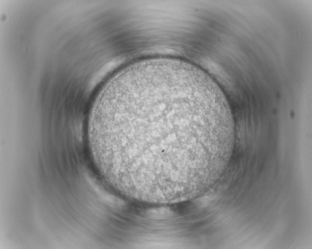 X0000088230112200706051358