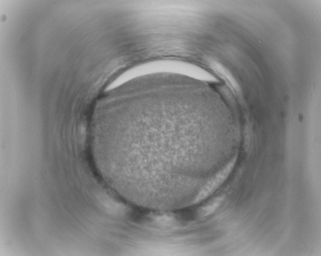 X0000088230113200706051358