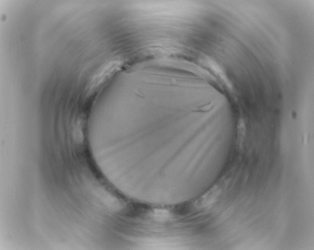 X0000088230114200706051358