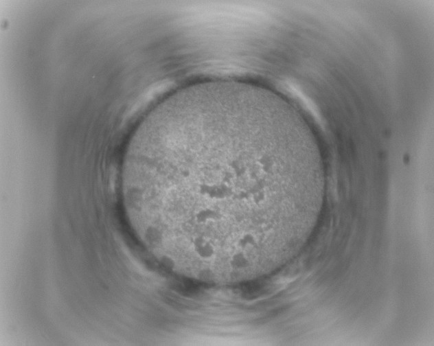 X0000088230115200706051358