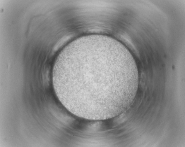 X0000088230116200706051357