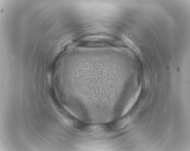 X0000088230117200706051357