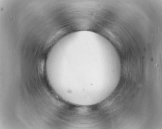 X0000088230118200706051357