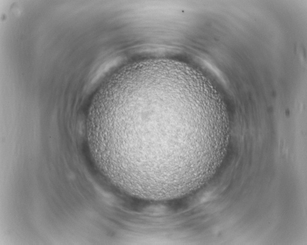 X0000088230119200706051357