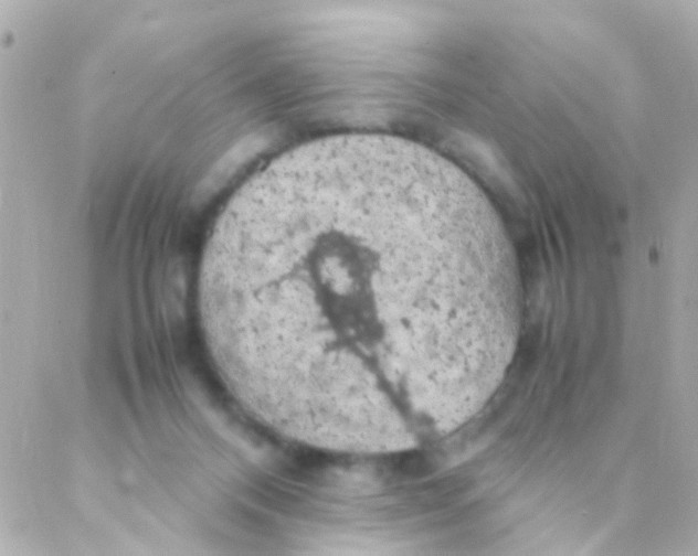 X0000088230120200706051357