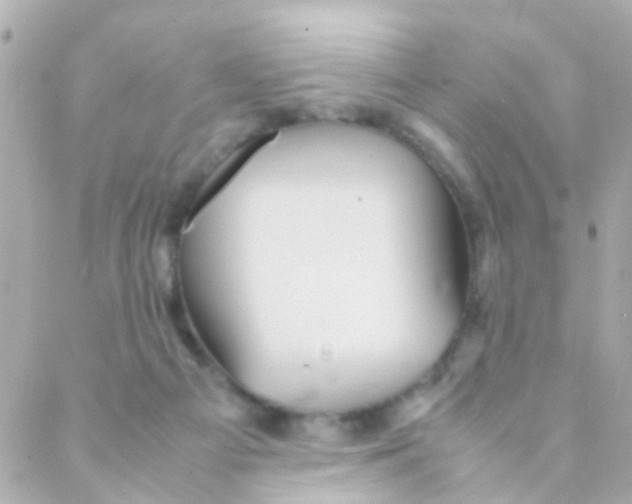 X0000088230121200706051357