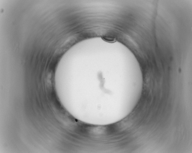 X0000088230122200706051357