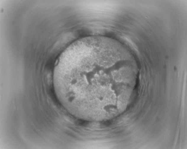 X0000088230123200706051357