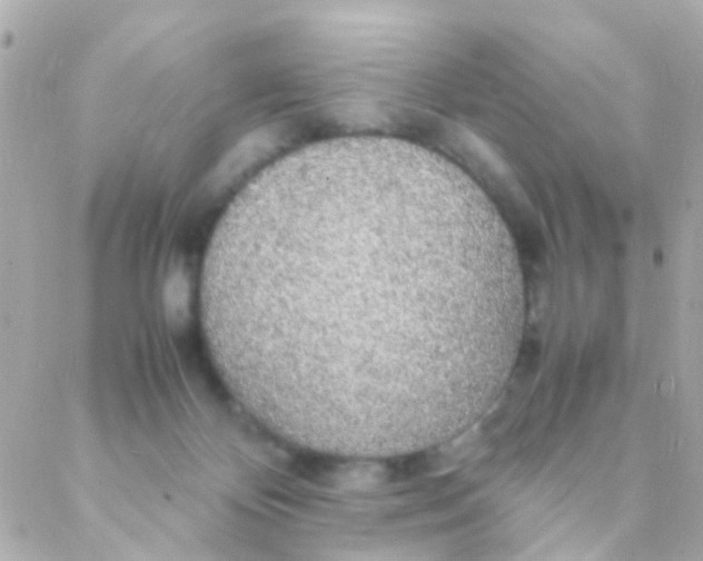 X0000088230124200706051357