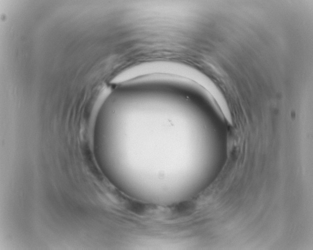 X0000088230125200706051357