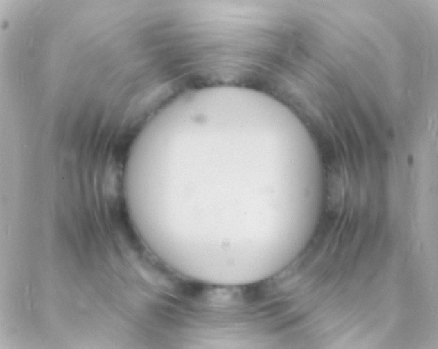 X0000088230126200706051357