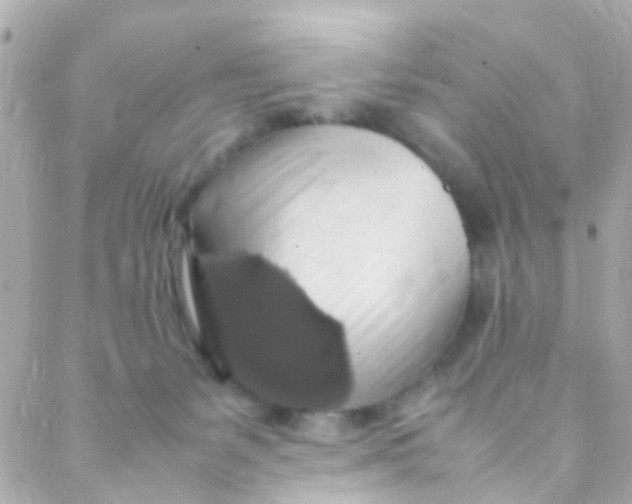 X0000088230127200706051357