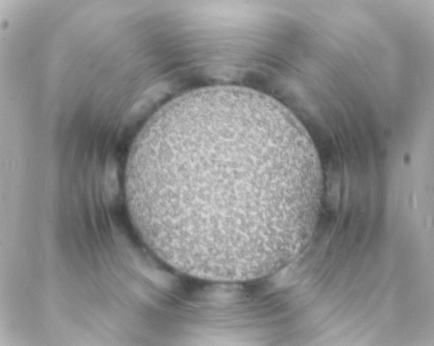 X0000088230128200706051357