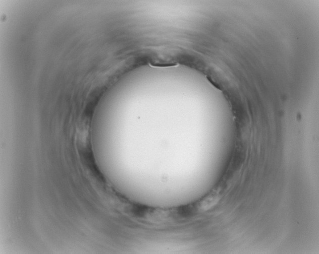 X0000088230129200706051357