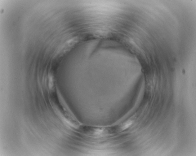 X0000088230130200706051357