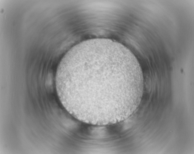 X0000088230132200706051357