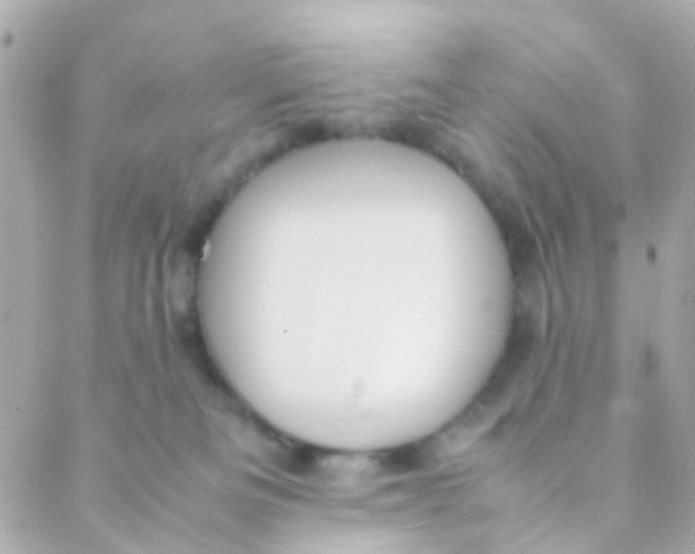 X0000088230133200706051357