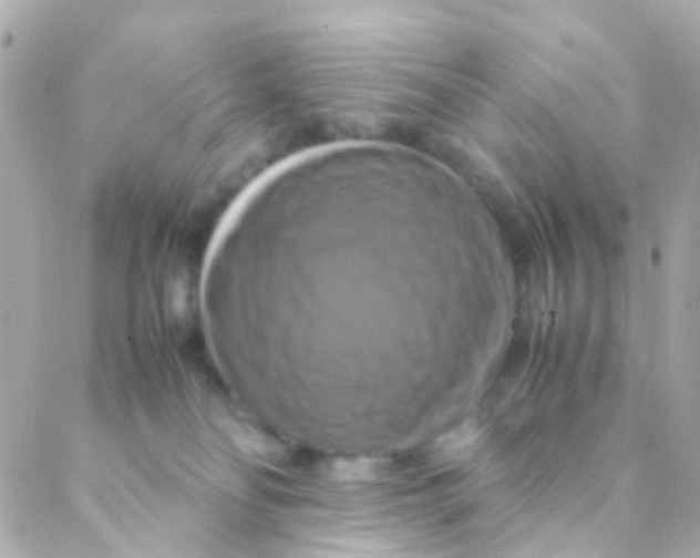 X0000088230134200706051357