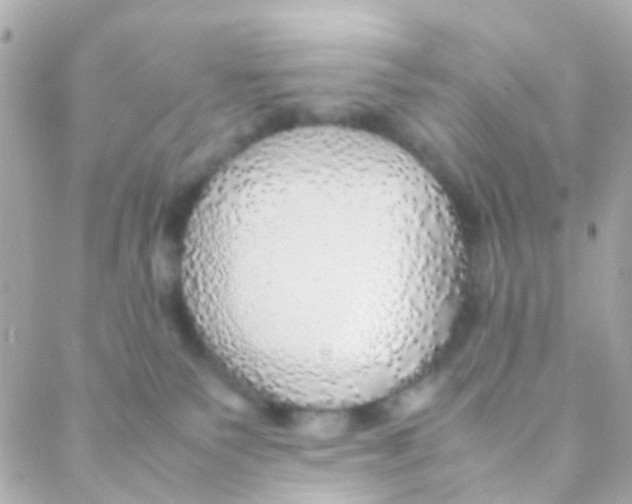 X0000088230135200706051357