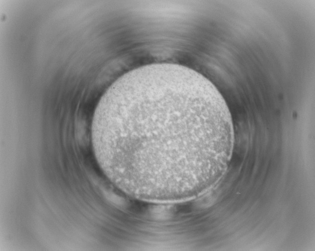 X0000088230136200706051357