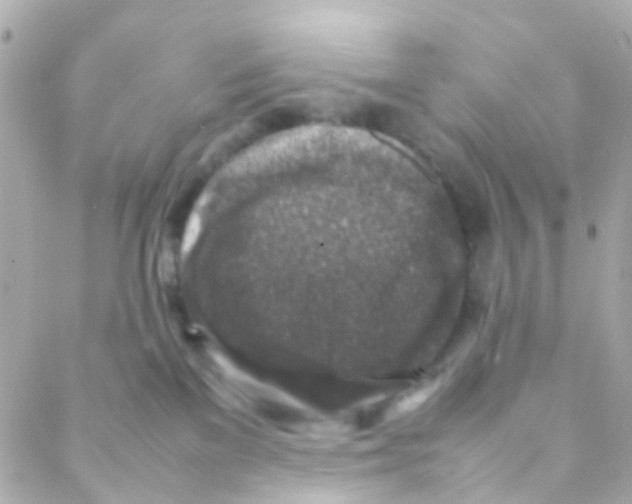 X0000088230137200706051357