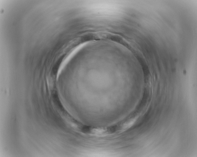 X0000088230139200706051357