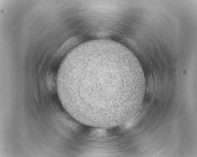 X0000088230140200706051357