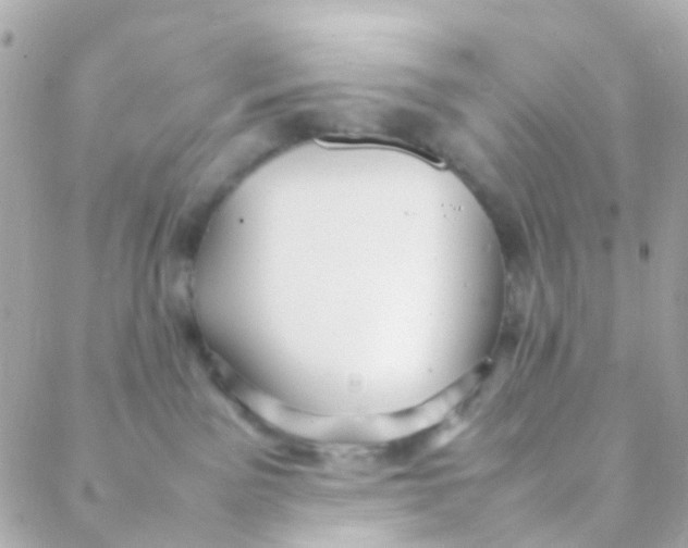 X0000088230141200706051357