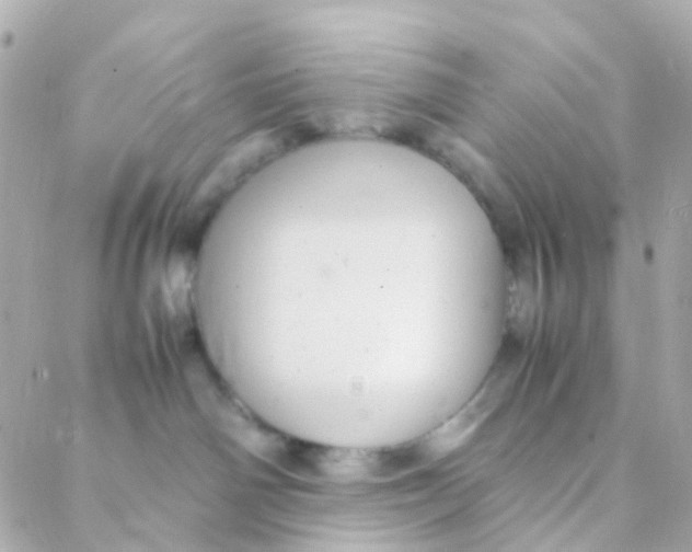 X0000088230142200706051357