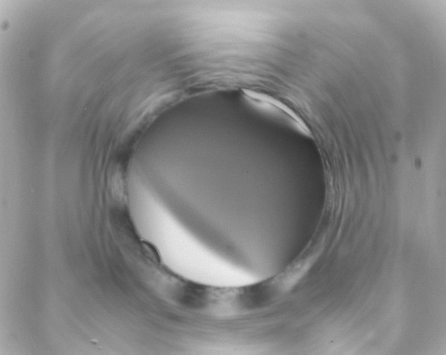 X0000088230143200706051357