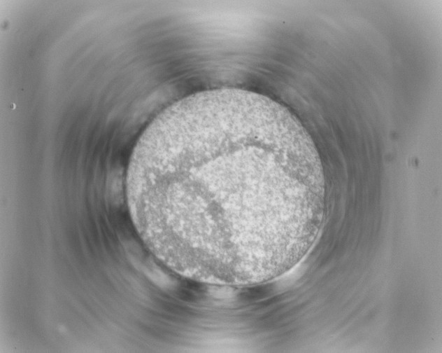 X0000088230144200706051357