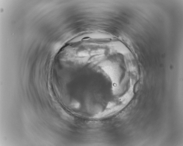 X0000088230145200706051356